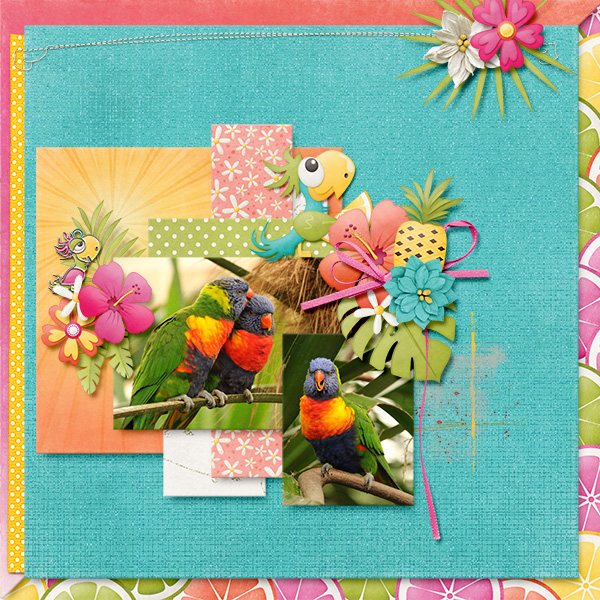 Colorful Lories