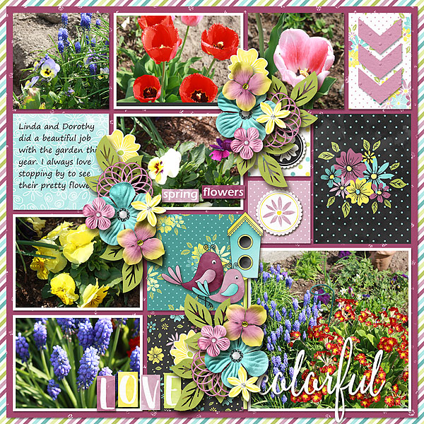 Colorful Spring Flowers