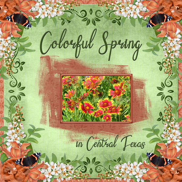 Colorful Spring in Central Texas