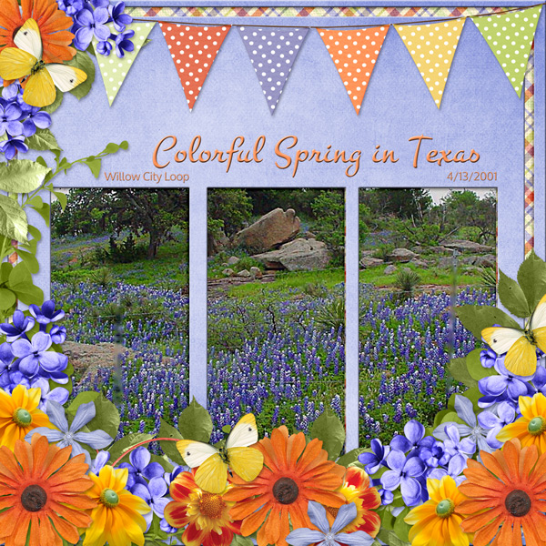 Colorful Spring in Texas
