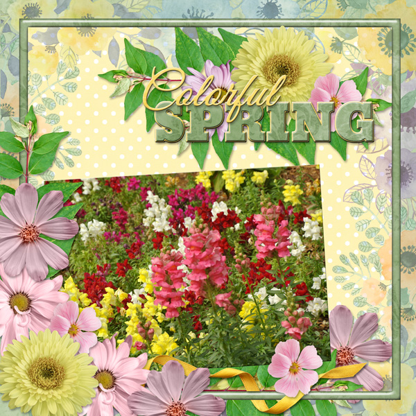 Colorful SPRING