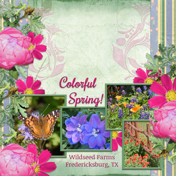 Colorful Spring