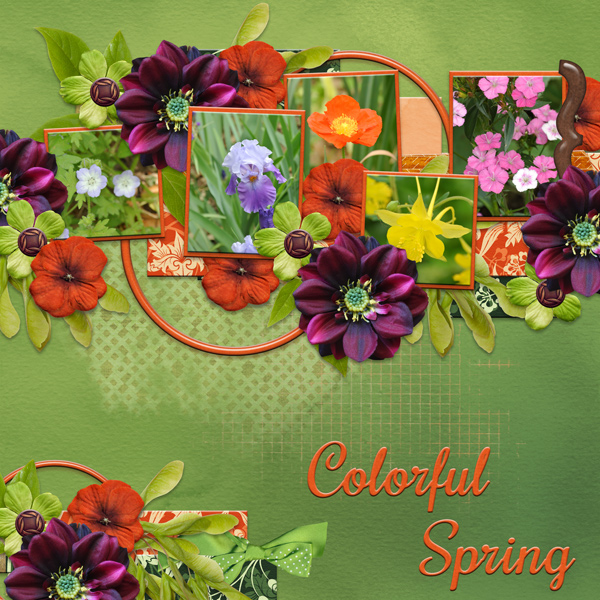 Colorful Spring