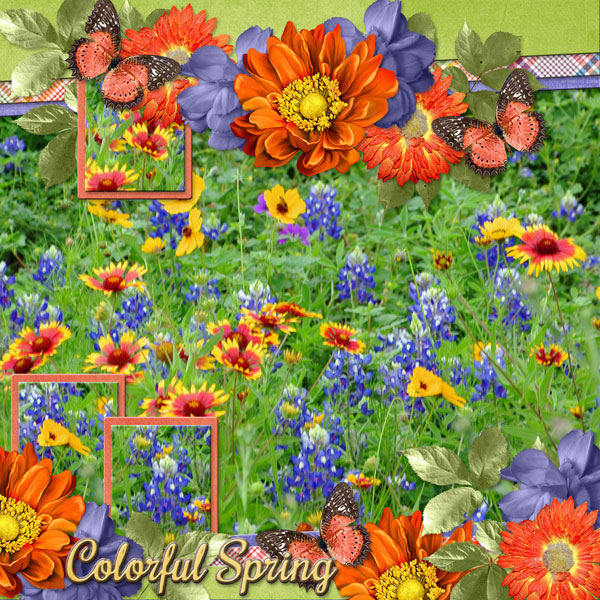 Colorful Spring