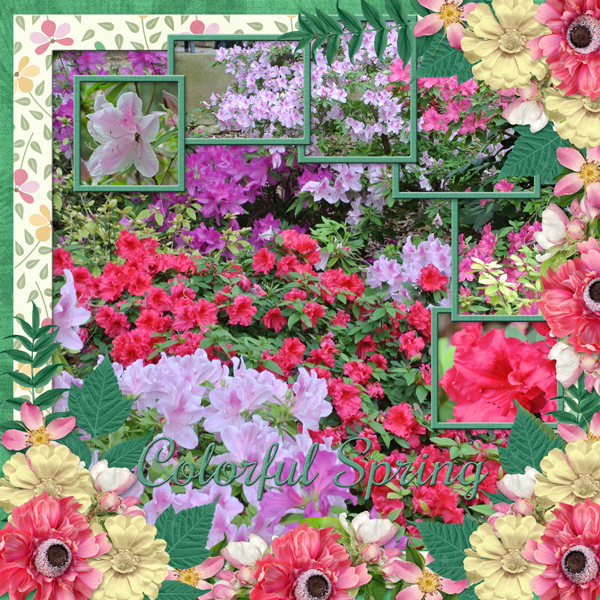 Colorful Spring