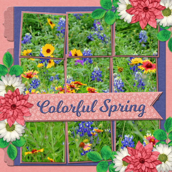 Colorful Spring