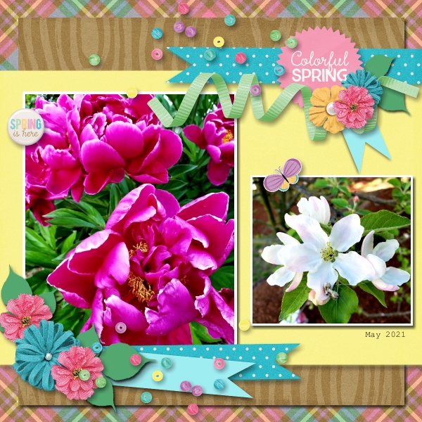Colorful Spring