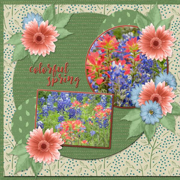 Colorful Spring