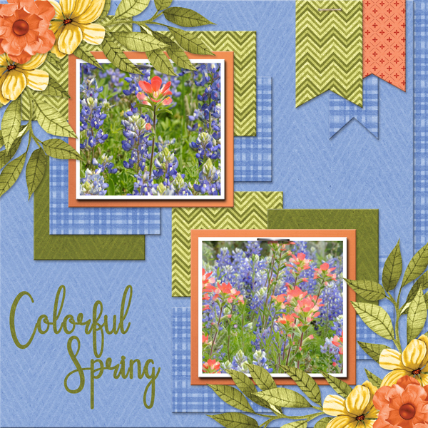 Colorful Spring