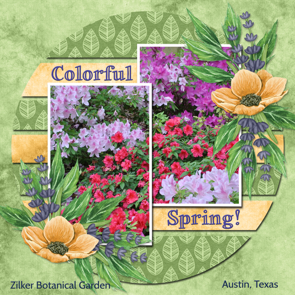 Colorful Spring
