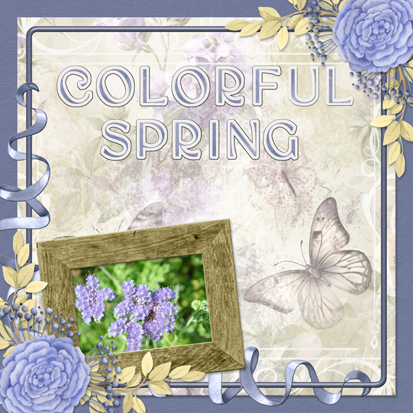Colorful Spring