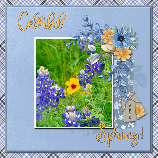 Colorful Spring