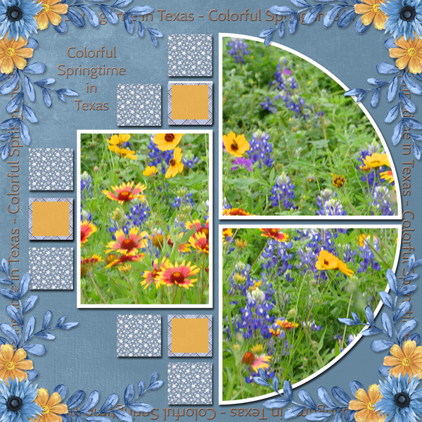 Colorful Springtime in Texas