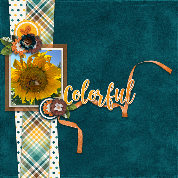 Colorful Sunflower