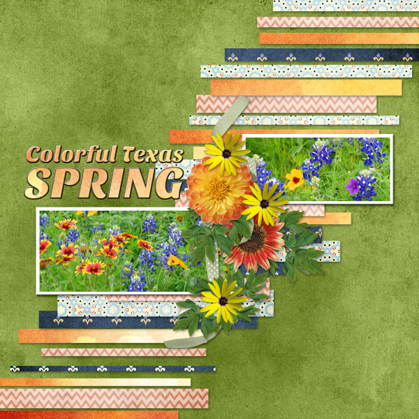 Colorful Texas Spring