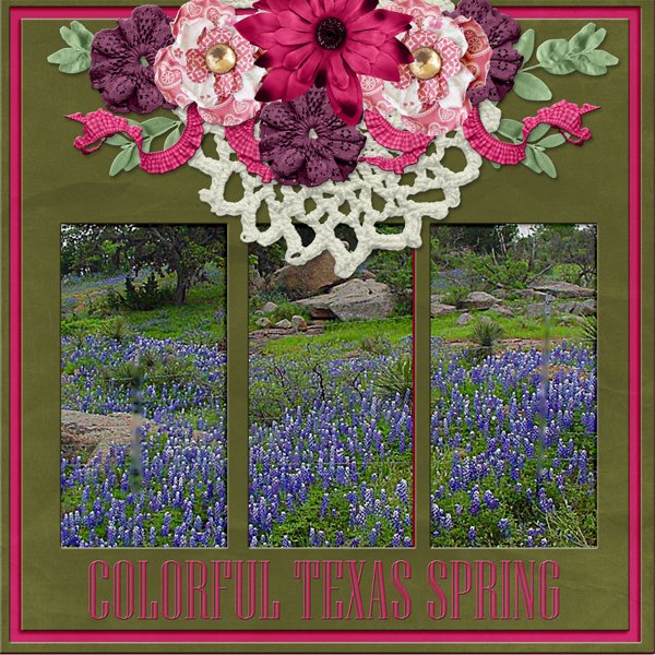 Colorful Texas Spring