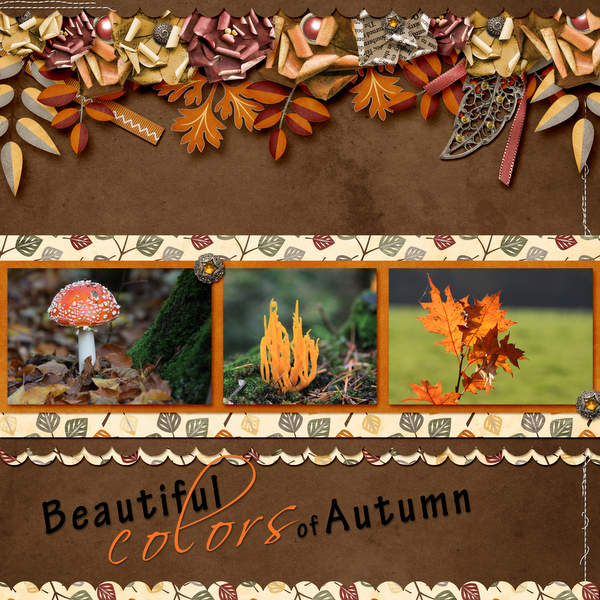 Colors of Autumn