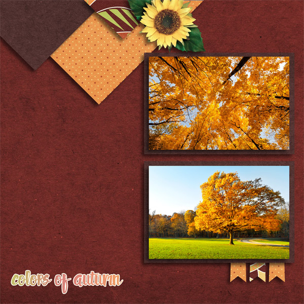 Colors of autumn