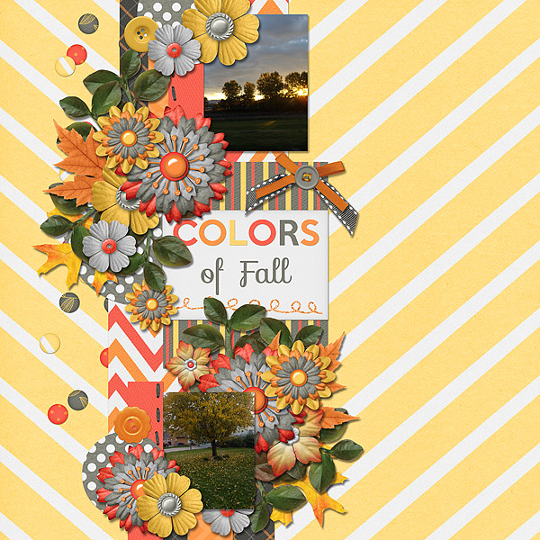 Colors Of Fall