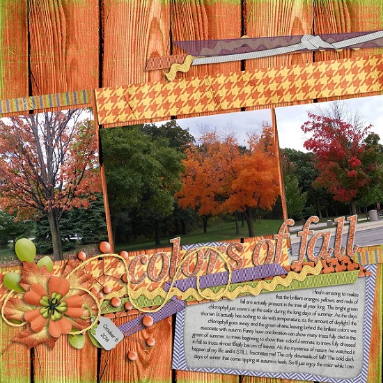 colors of fall