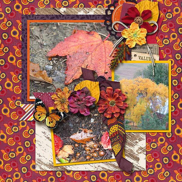Colors of Fall