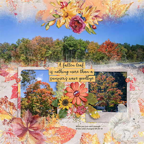 Colors of Fall