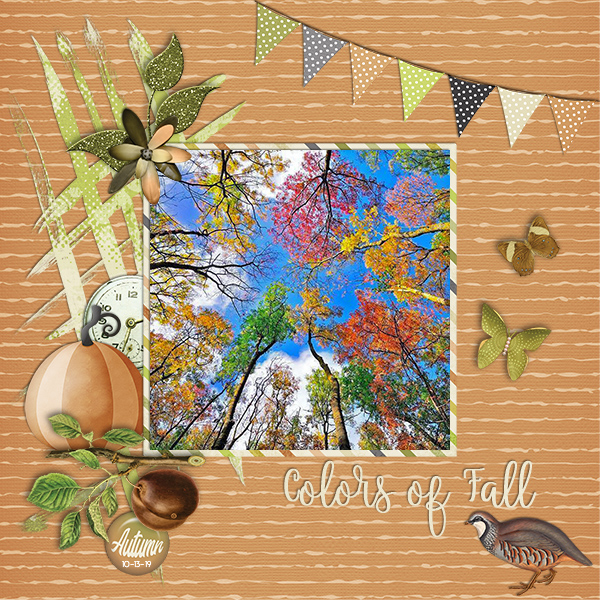 Colors Of Fall