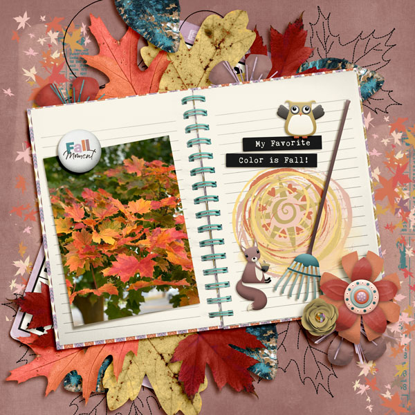 Colors of Fall