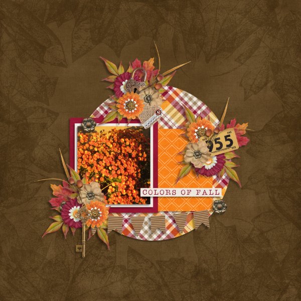 Colors of Fall