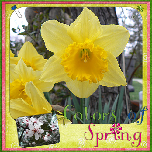 Colors of Spring