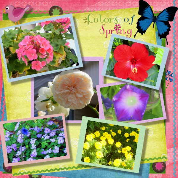Colors of Spring