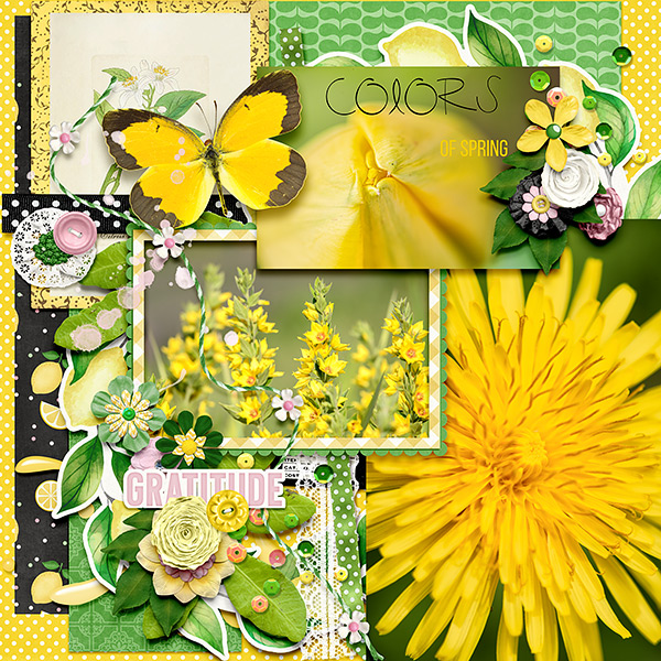 Colors of Spring