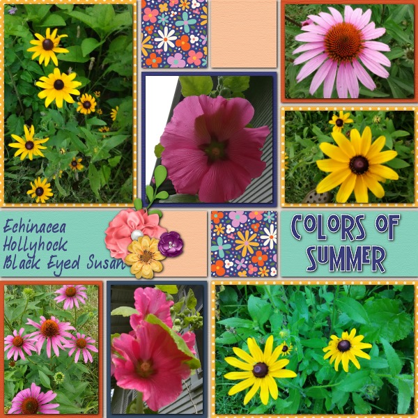 Colors of Summer