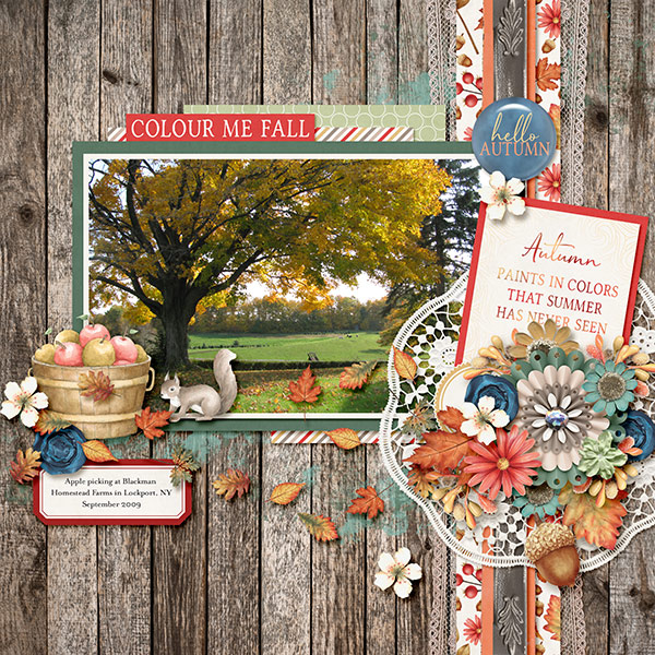 Colour Me Fall