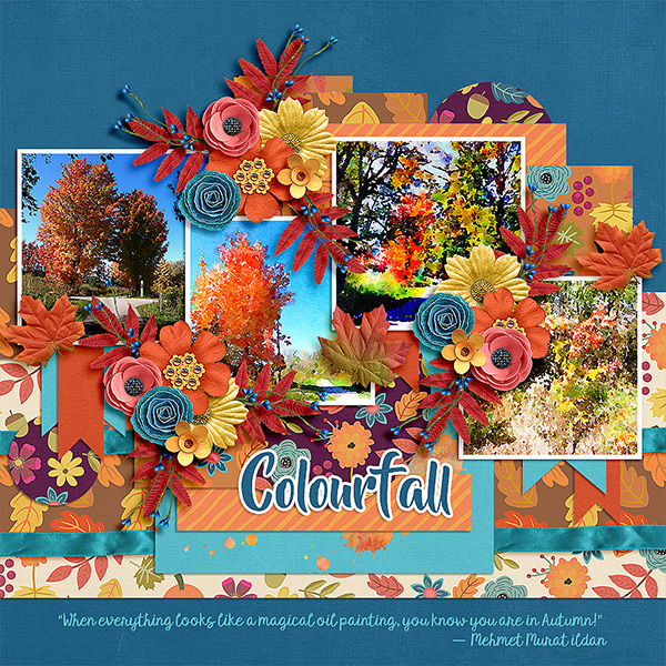 Colourfall - Survivor Week 4