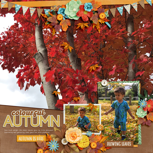 Colourful Autumn