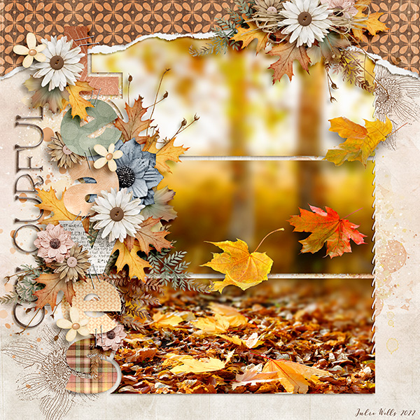 colourful leaves