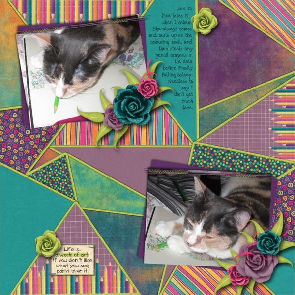Colouring Cat