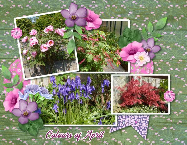 Colours of April