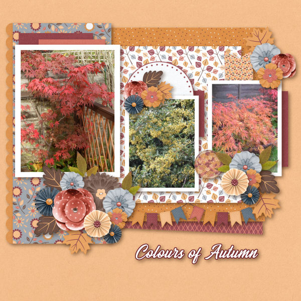 Colours of Autumn