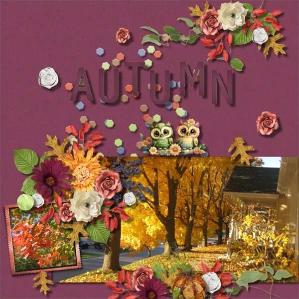 Colours of Autumn