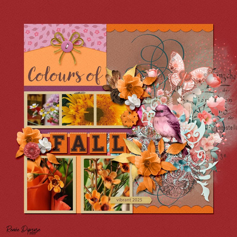 Colours of Fall