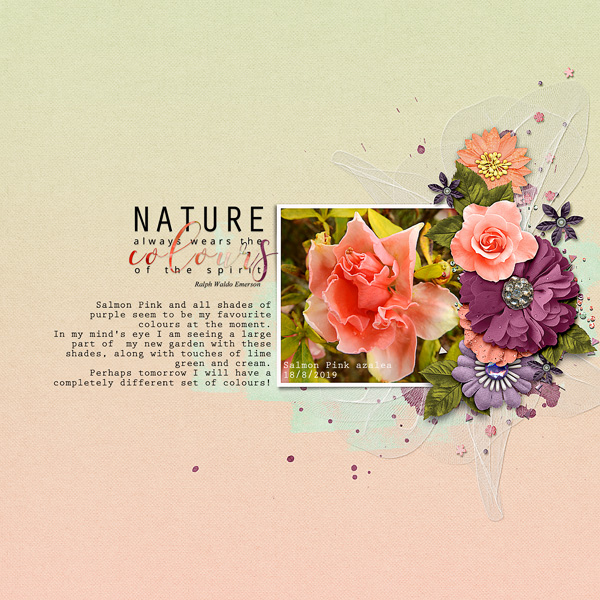 COLOURS OF NATURE