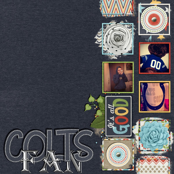 Colts Fan