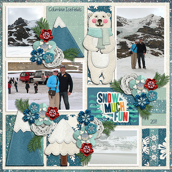 Columbia Icefields