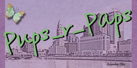 Columbus OH Siggy