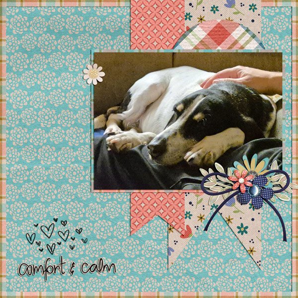 comfort and calm