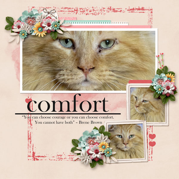 Comfort
