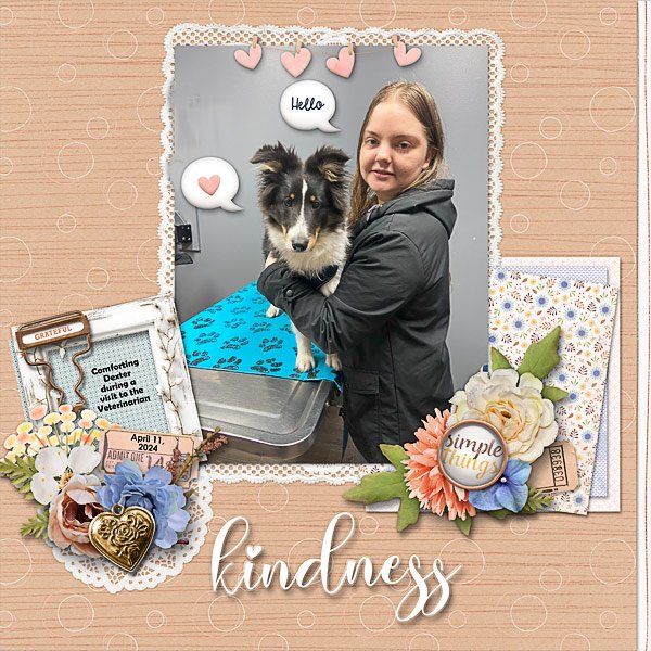Comforting our dog During a Veterinarian Visit