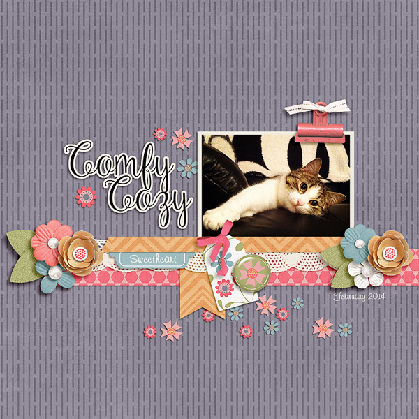 comfy cozy